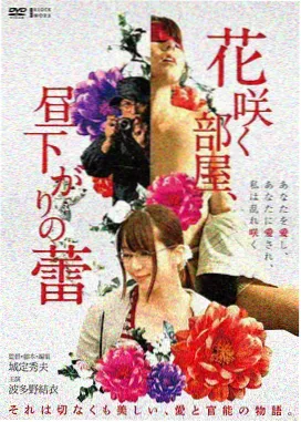 长夜回声电影封面